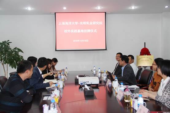k球体育客户端