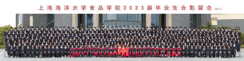 k球体育官方线路