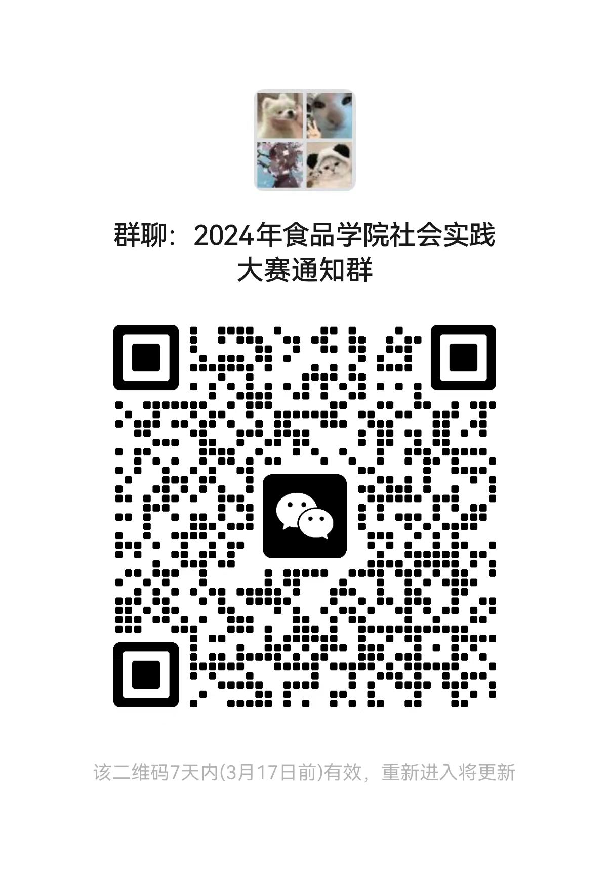 k球体育欧洲杯