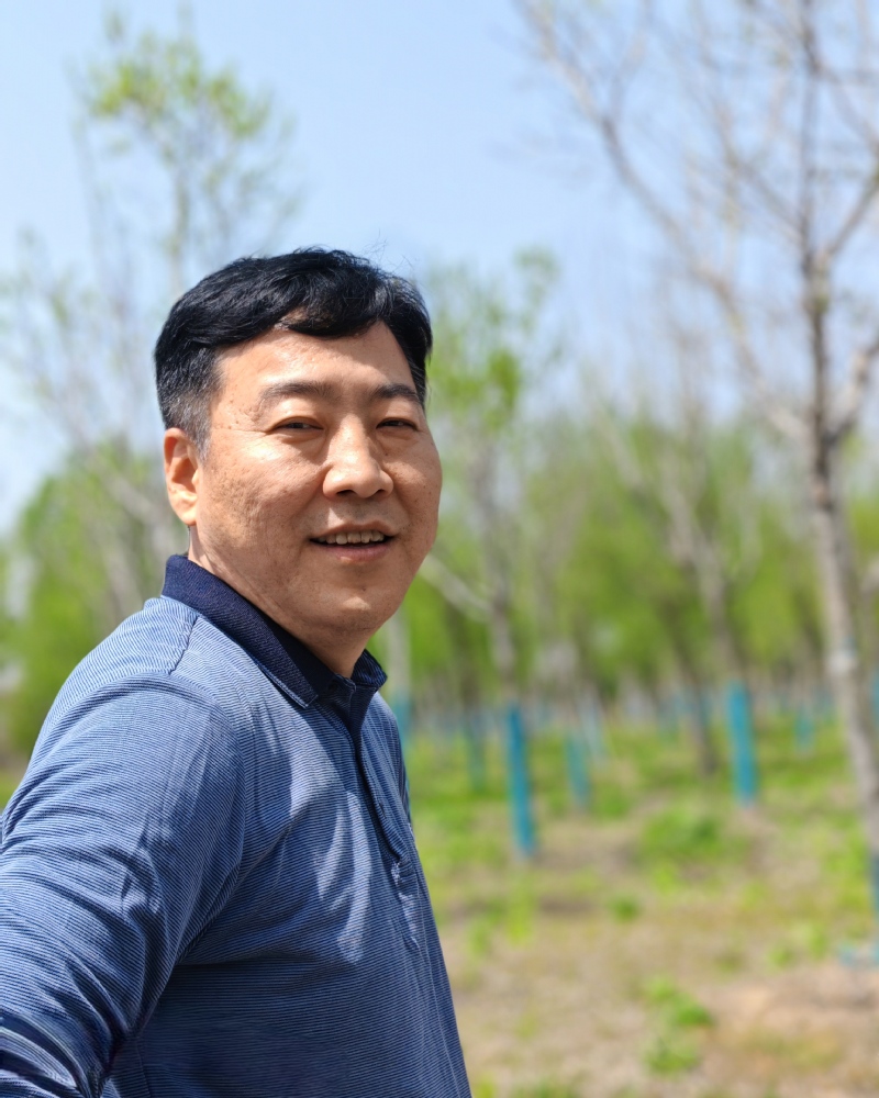 k球体育平台