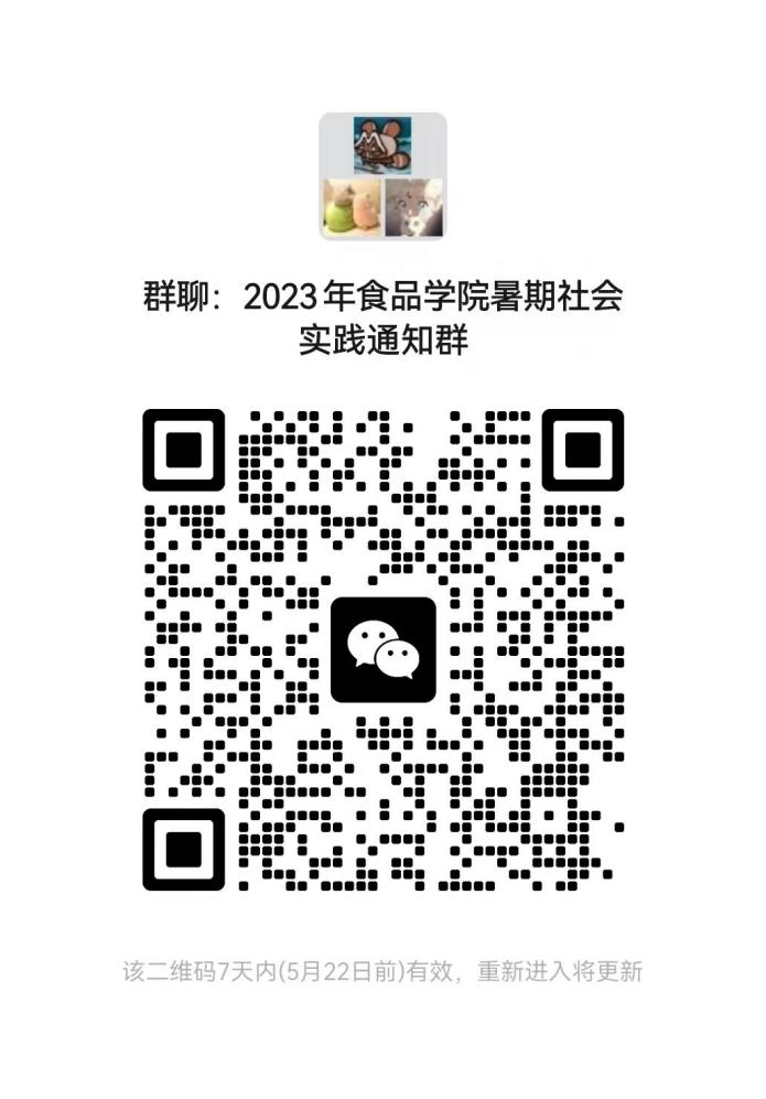 k球体育客户端