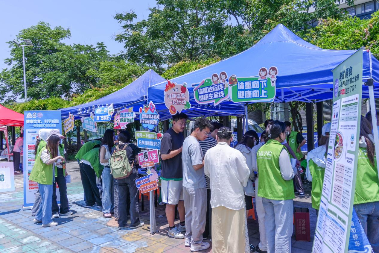 k球体育备用网址
