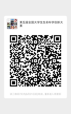k球体育备用网址