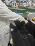 k球体育备用网址
