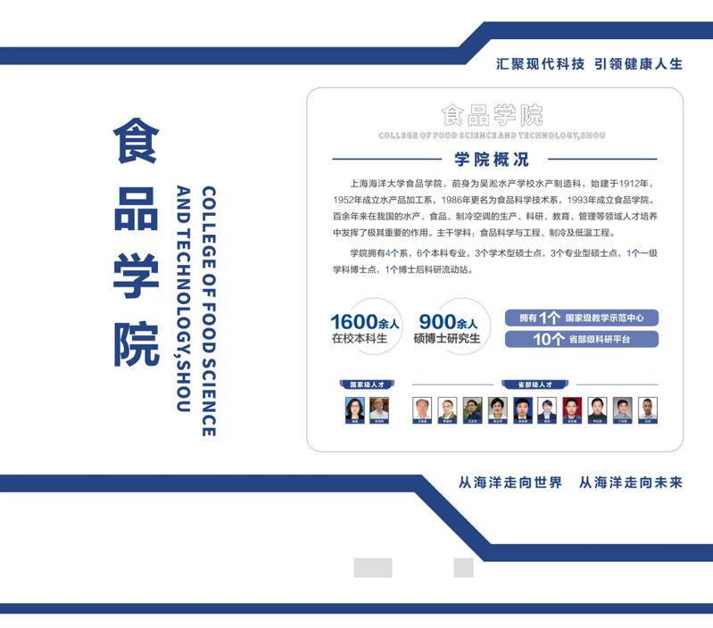 k球体育官方指定端