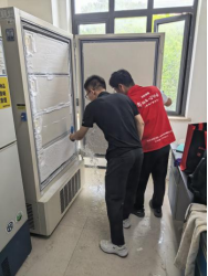 k球体育手机版