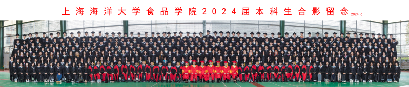 k球体育指定通道