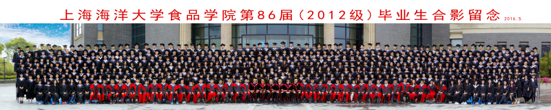 k球体育体育频道