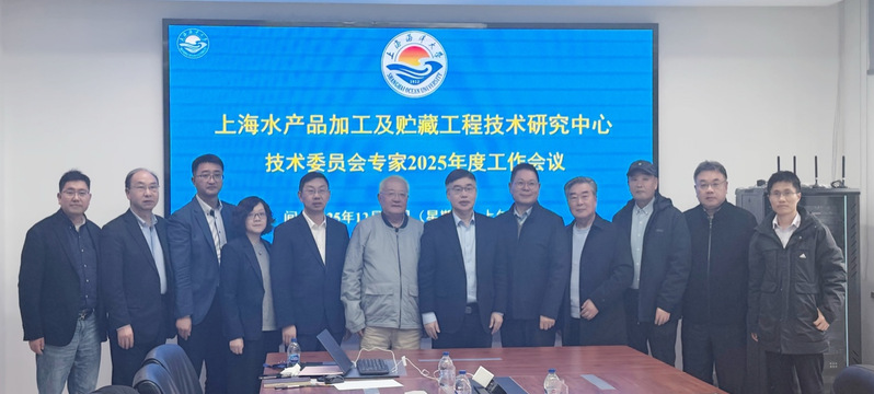 k球体育官方指定端