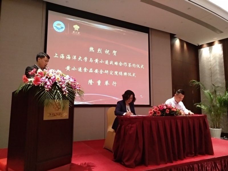 k球体育指定入口