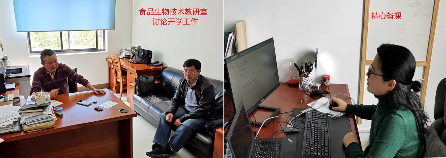 k球体育欧洲杯