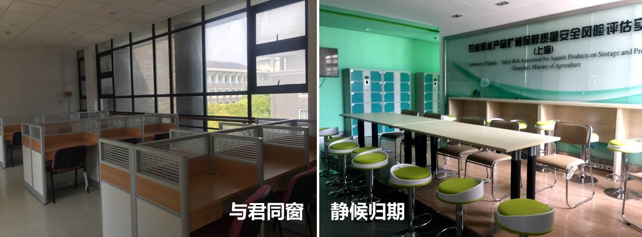 k球体育赛事资讯平台