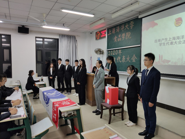k球体育指定入口