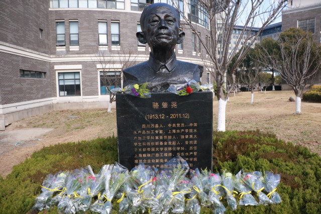 k球体育指定通道