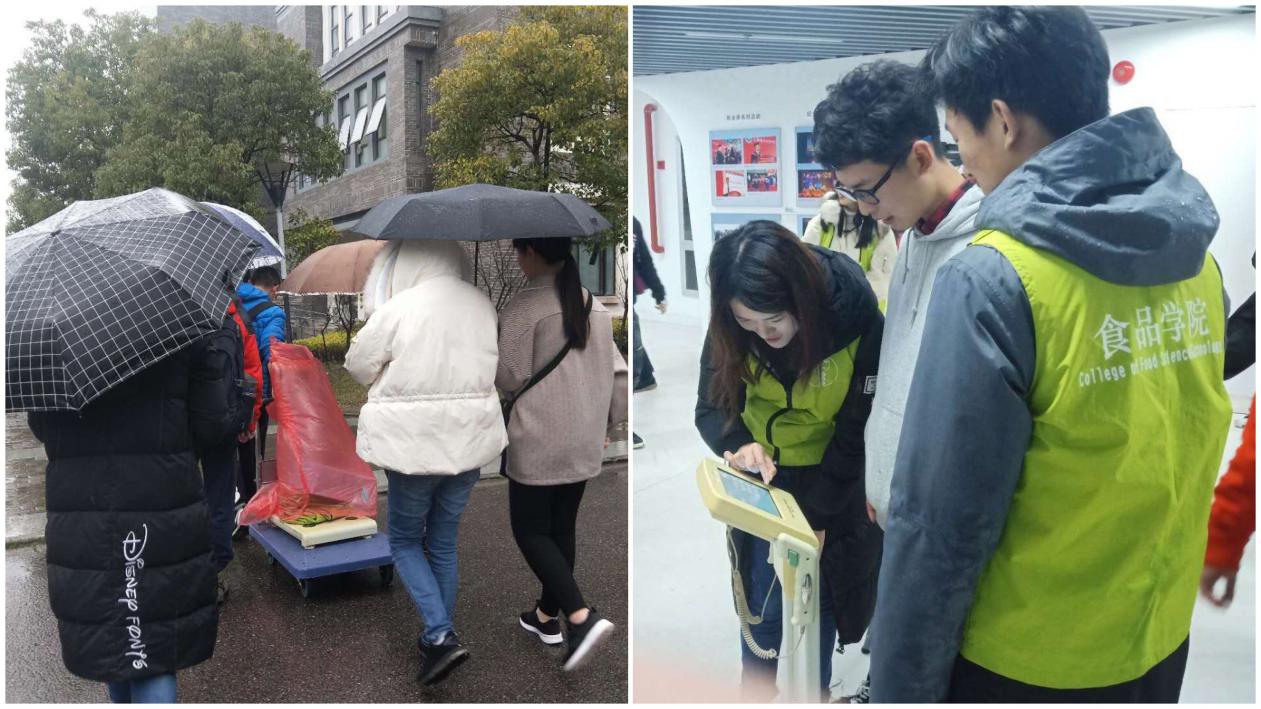 k球体育稳定线路