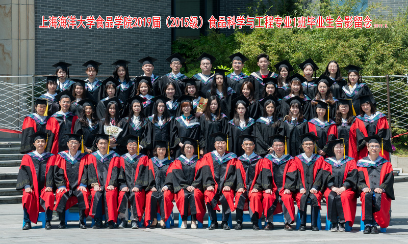 k球体育官方指定端
