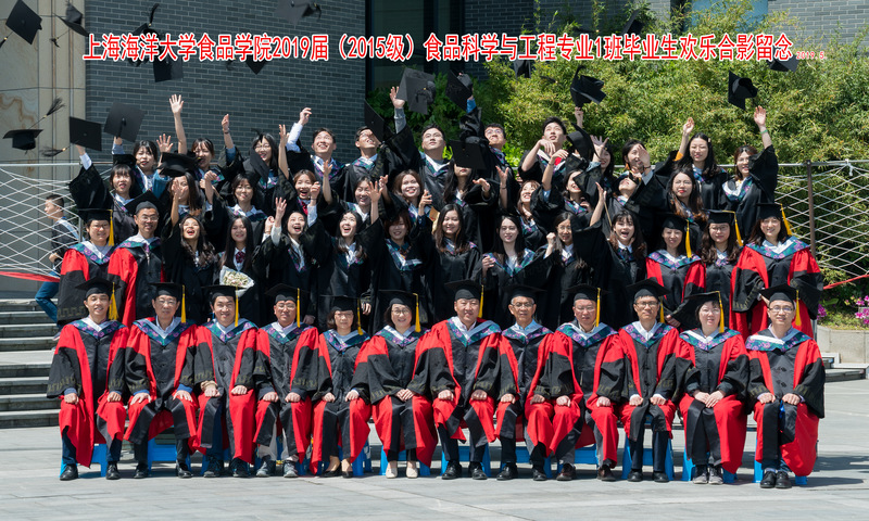 k球体育官方指定端