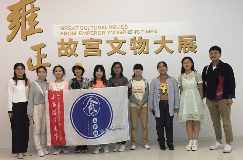 k球体育官方指定端