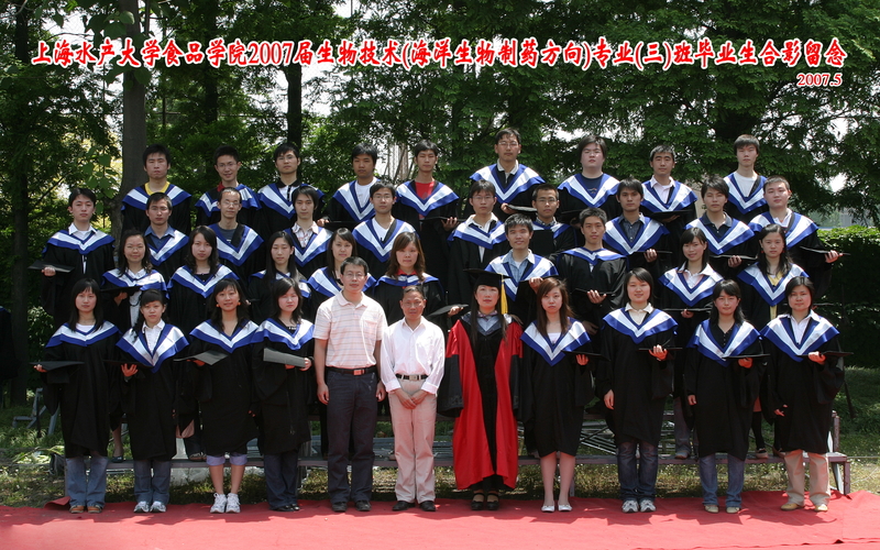 k球体育手机版
