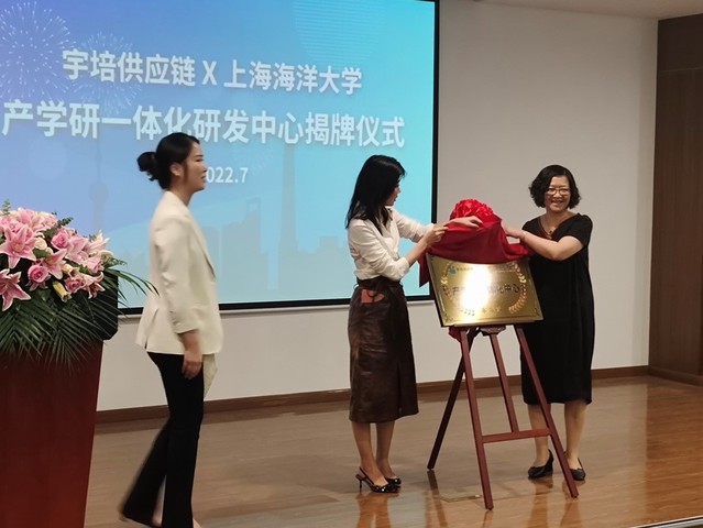 k球体育备用网址