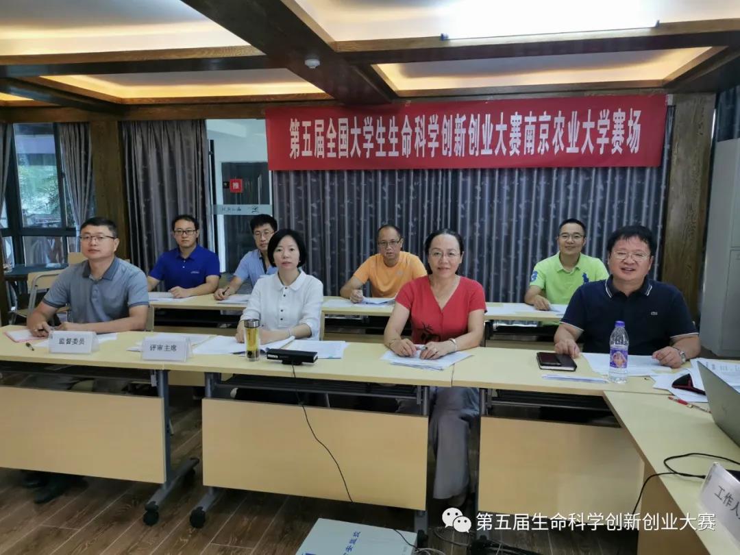 k球体育官方指定端