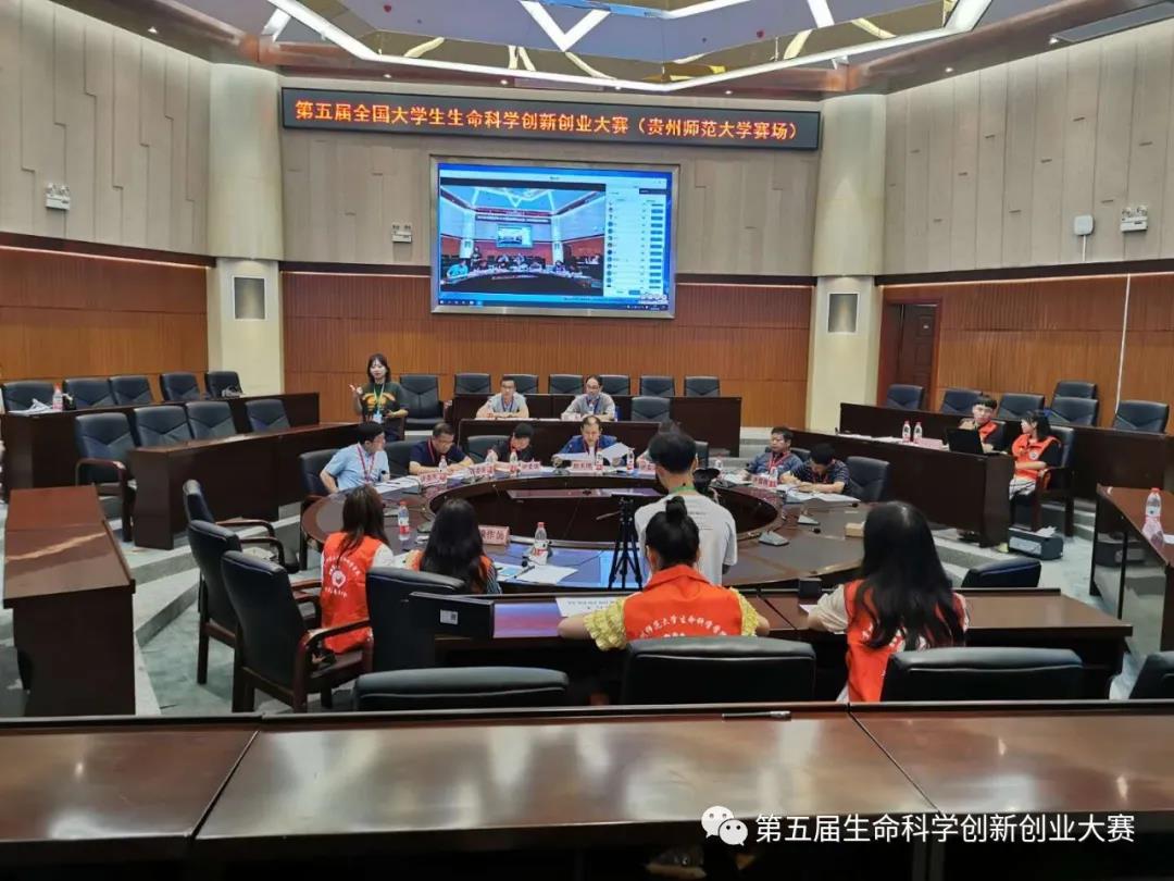k球体育备用网址