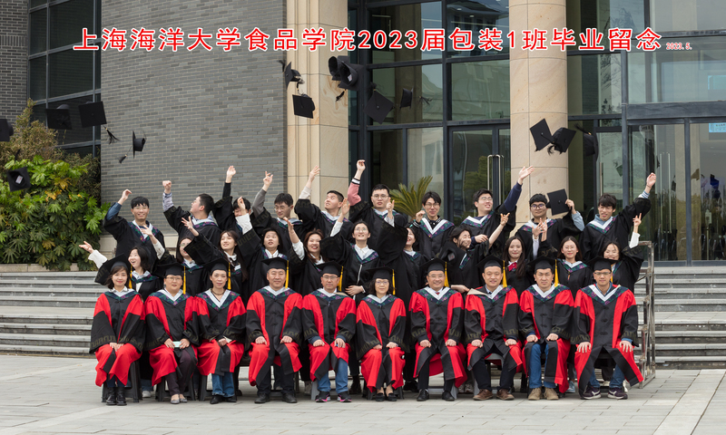 k球体育官方指定端