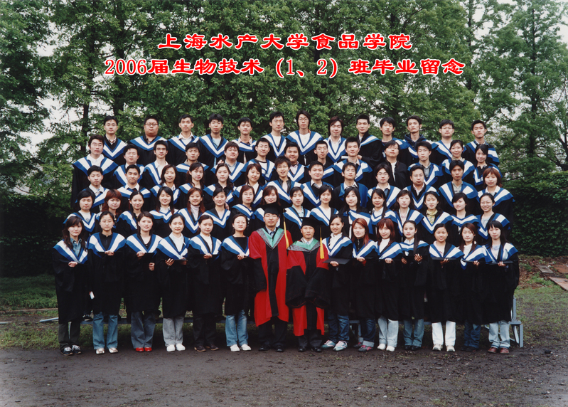 k球体育手机版