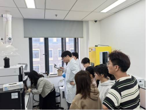 k球体育官方线路