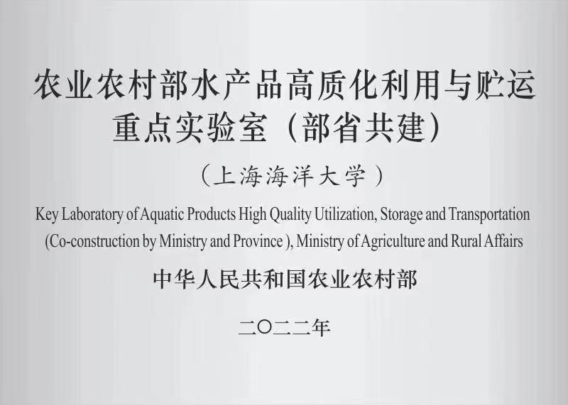 k球体育备用网址