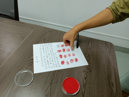 k球体育稳定线路