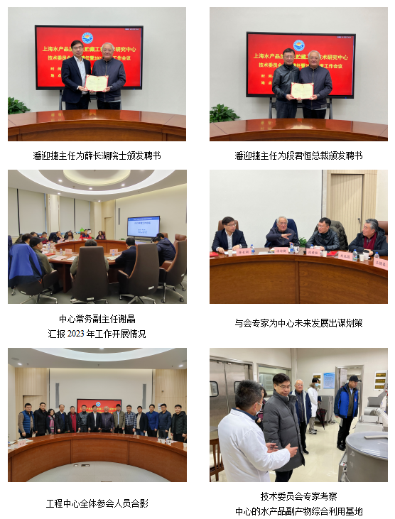 k球体育客户端