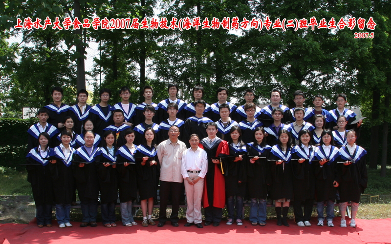 k球体育平台