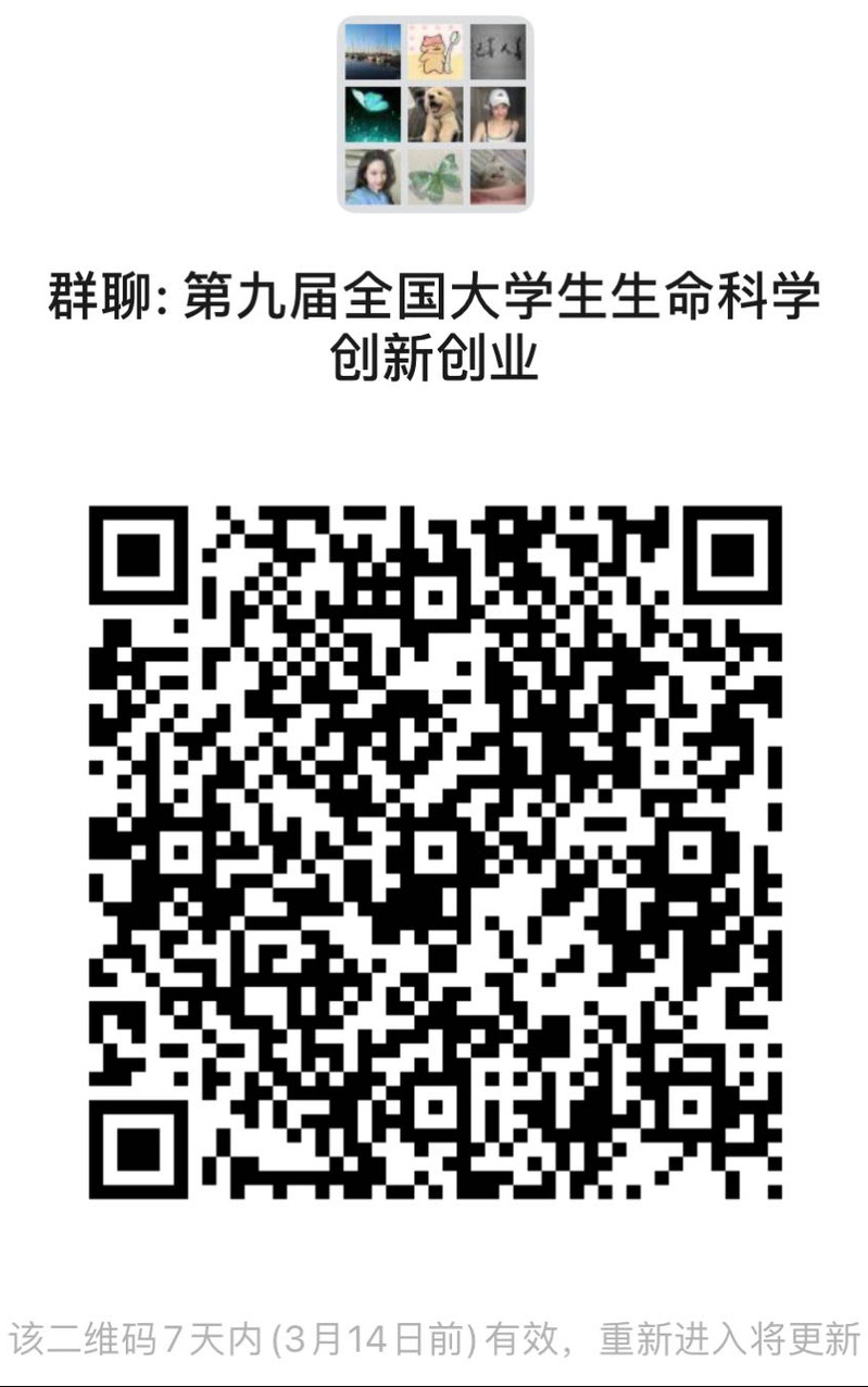 k球体育客户端