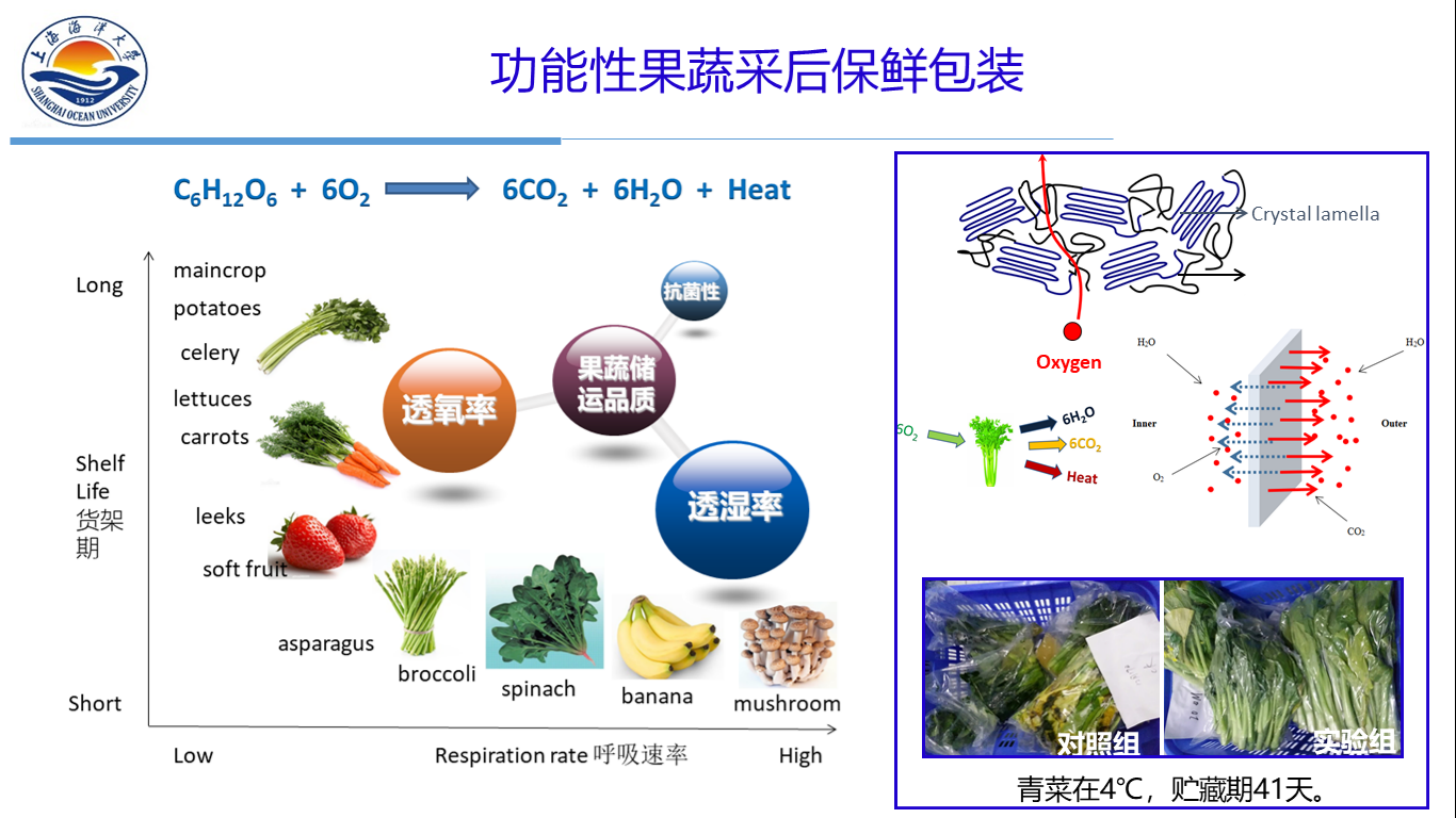 k球体育稳定线路