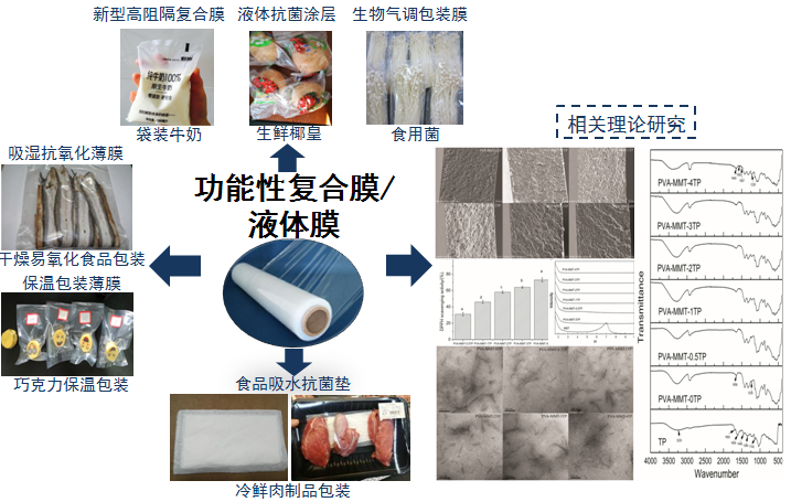 k球体育欧冠直播