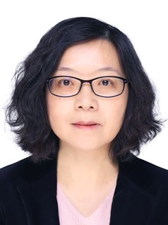 k球体育手机版