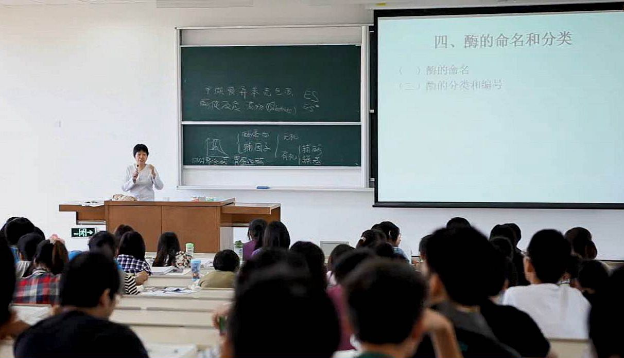 k球体育数据中心