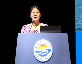 k球体育平台