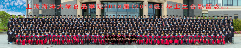 k球体育APP下载
