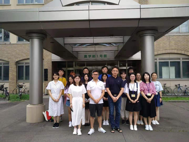 k球体育客户端