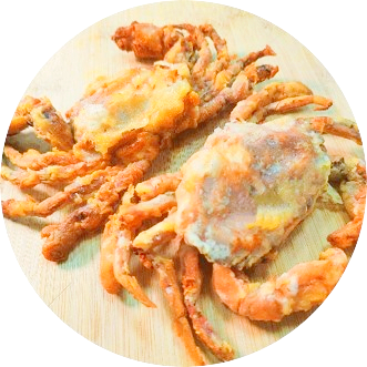 k球体育加速节点