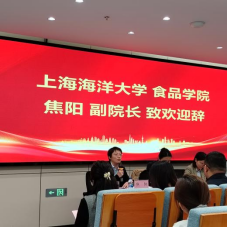 k球体育体育频道